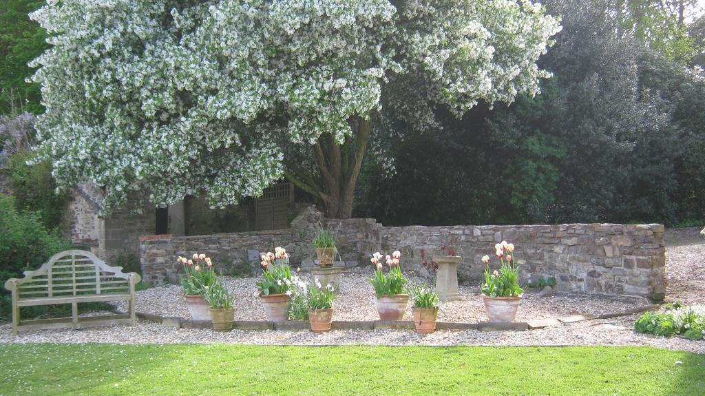 Bed and Breakfast Hollamoor Farm Barnstaple Exterior foto