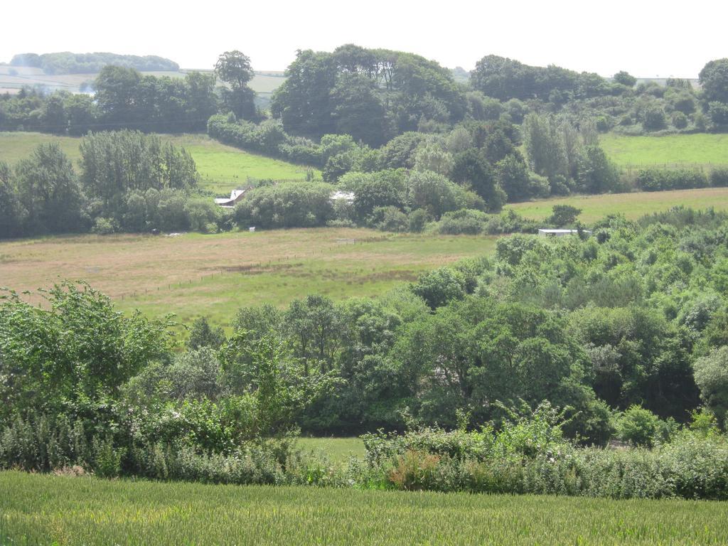 Bed and Breakfast Hollamoor Farm Barnstaple Exterior foto