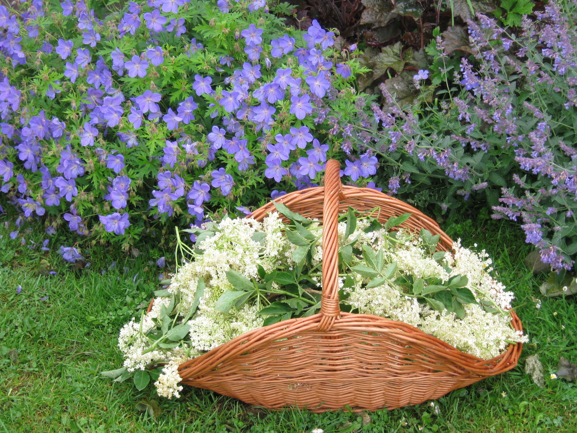 Bed and Breakfast Hollamoor Farm Barnstaple Exterior foto