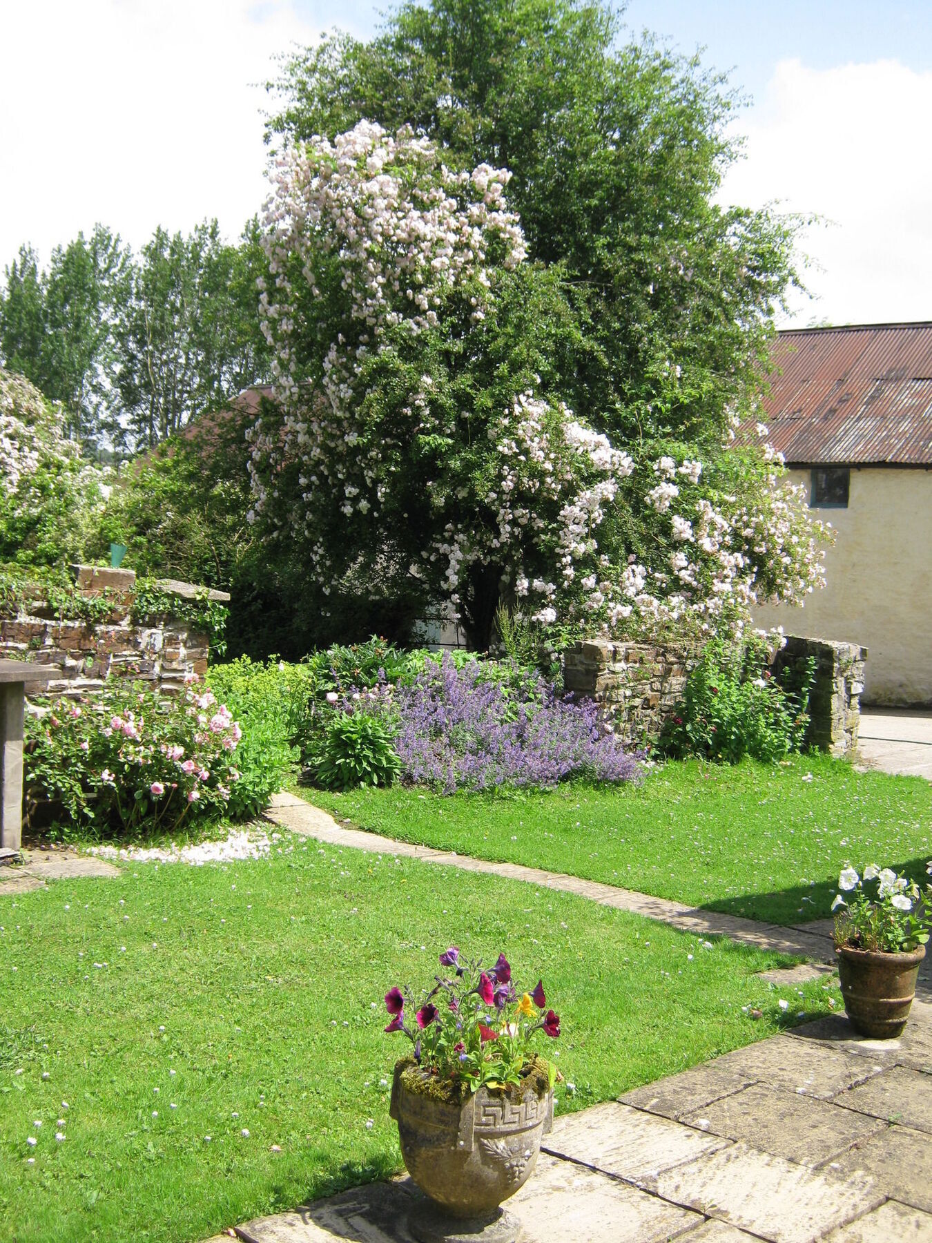 Bed and Breakfast Hollamoor Farm Barnstaple Exterior foto